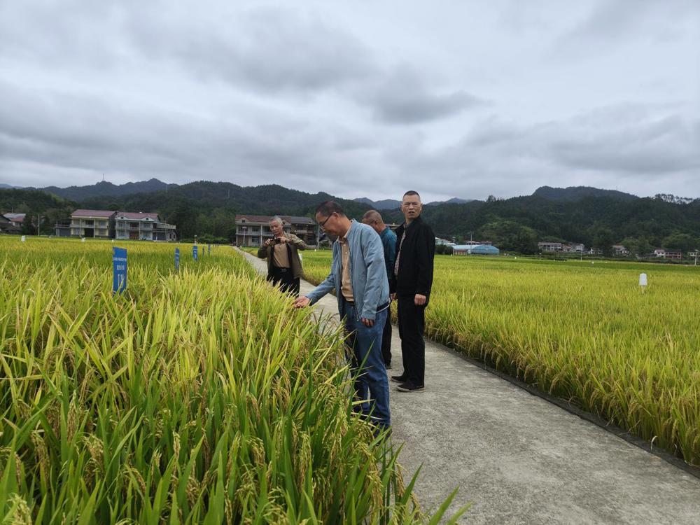 微信图片_2025-09-23_152025_252